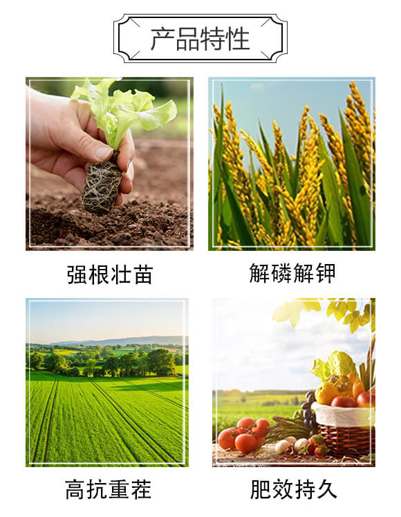 有機(jī)肥料-欣豐樂(lè)_02